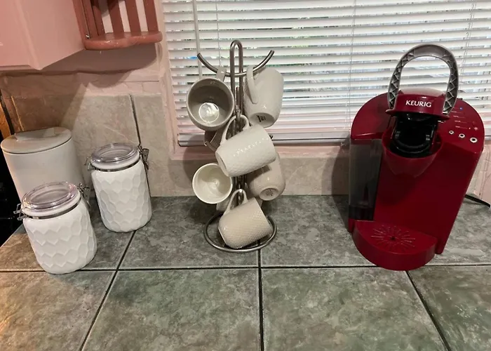 Сasa de vacaciones Bright 3br, Dogs, Fenced Yard, Fsu & Dwntown