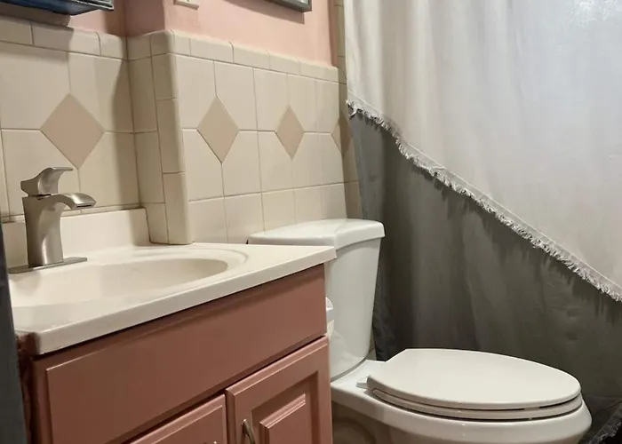Bright 3br, Dogs, Fenced Yard, Fsu & Dwntown Tallahassee